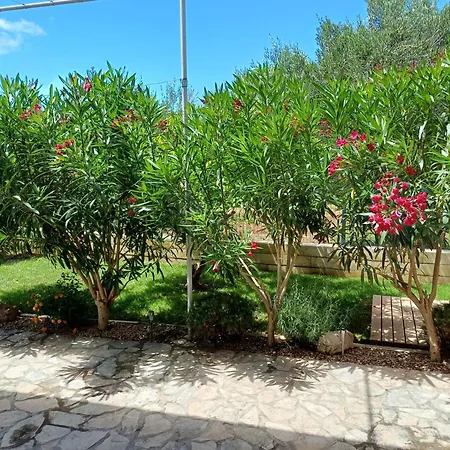 Apartmaji Mia, Otok Lejlighed *