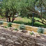 Apartmaji Mia, Otok * Murter